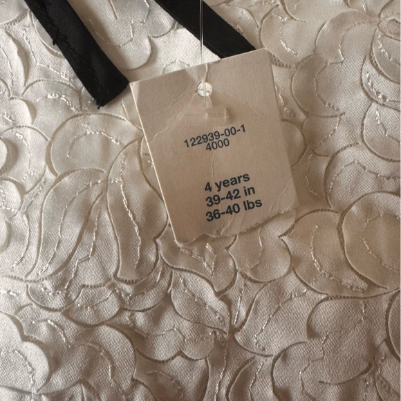 Baby Gap Ribbon Rose Embroidered Dress White Special Occasion Size 4T - Picture 7 of 8